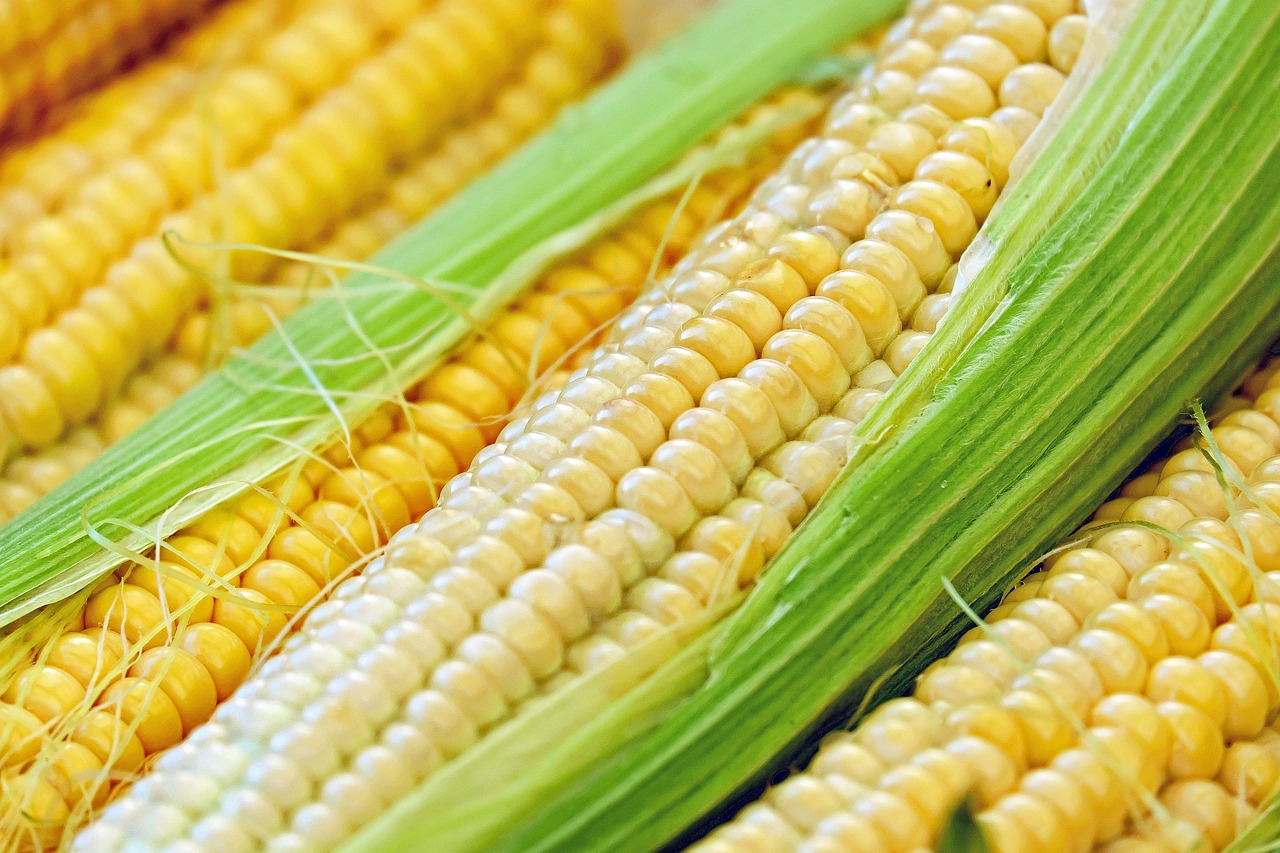Spotlight on Sweetcorn: Fresh Corn Cornbread