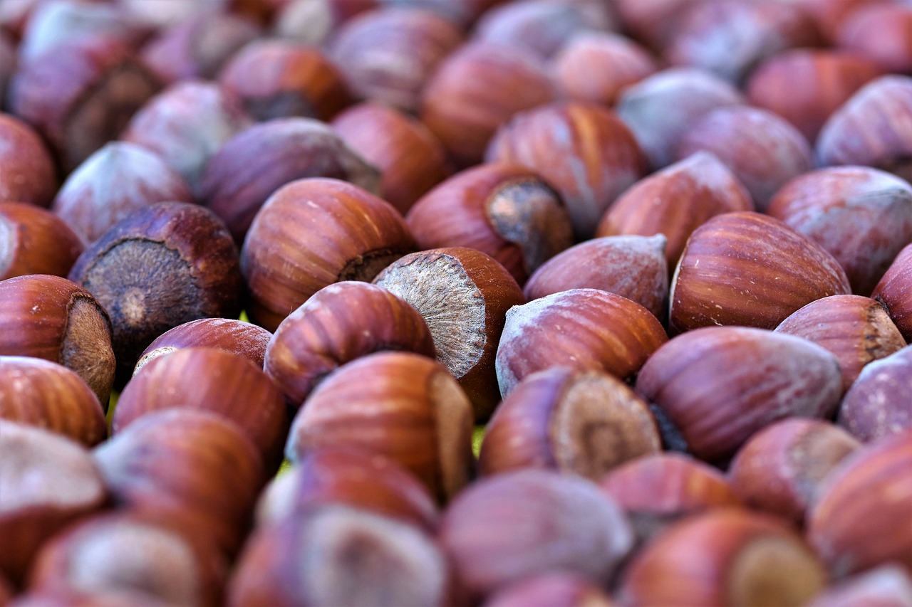 Spotlight on Tree Nuts: Panforte