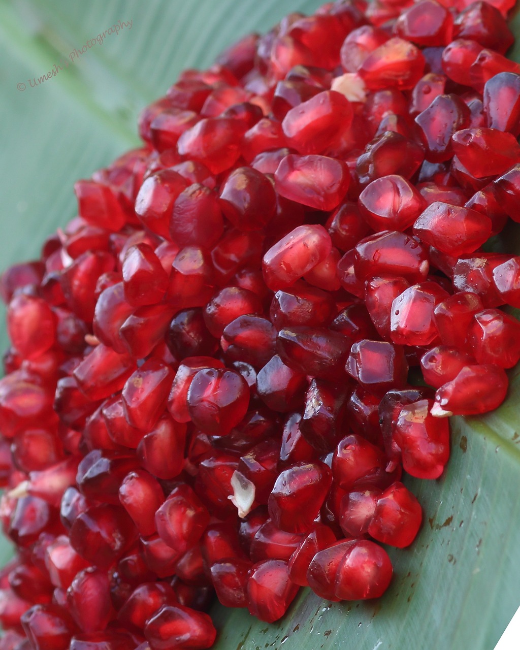 Spotlight on Pomegranates: Chiles en Nogada