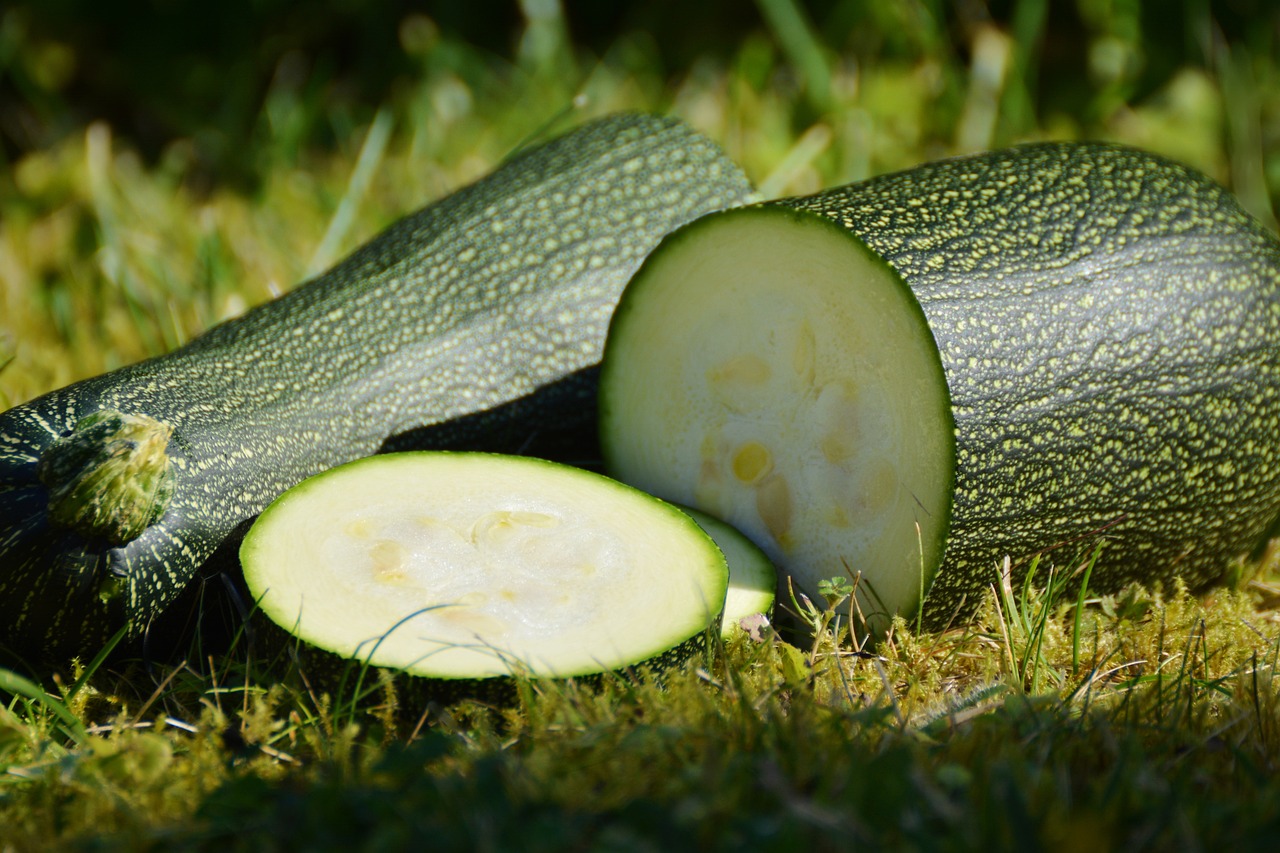 Spotlight on Zucchini: Zucchini Pickles
