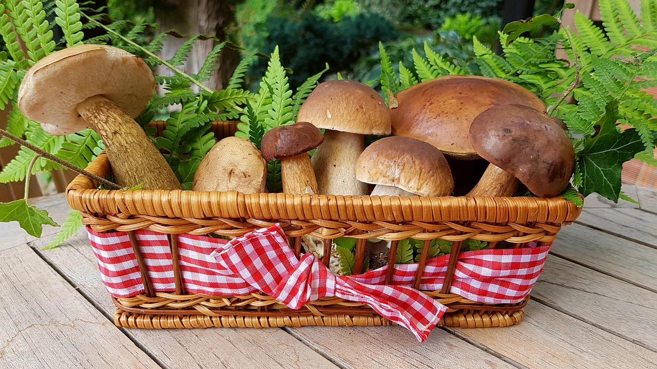 Spotlight on Mushrooms: Wild Mushroom Galette