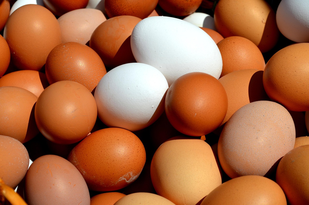 Spotlight on Eggs: Gateau Basque