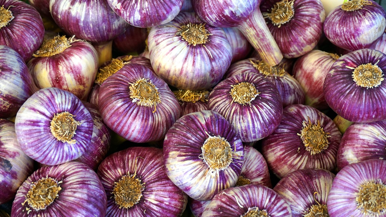 Spotlight on Alliums: Provençal-style Braised Artichokes