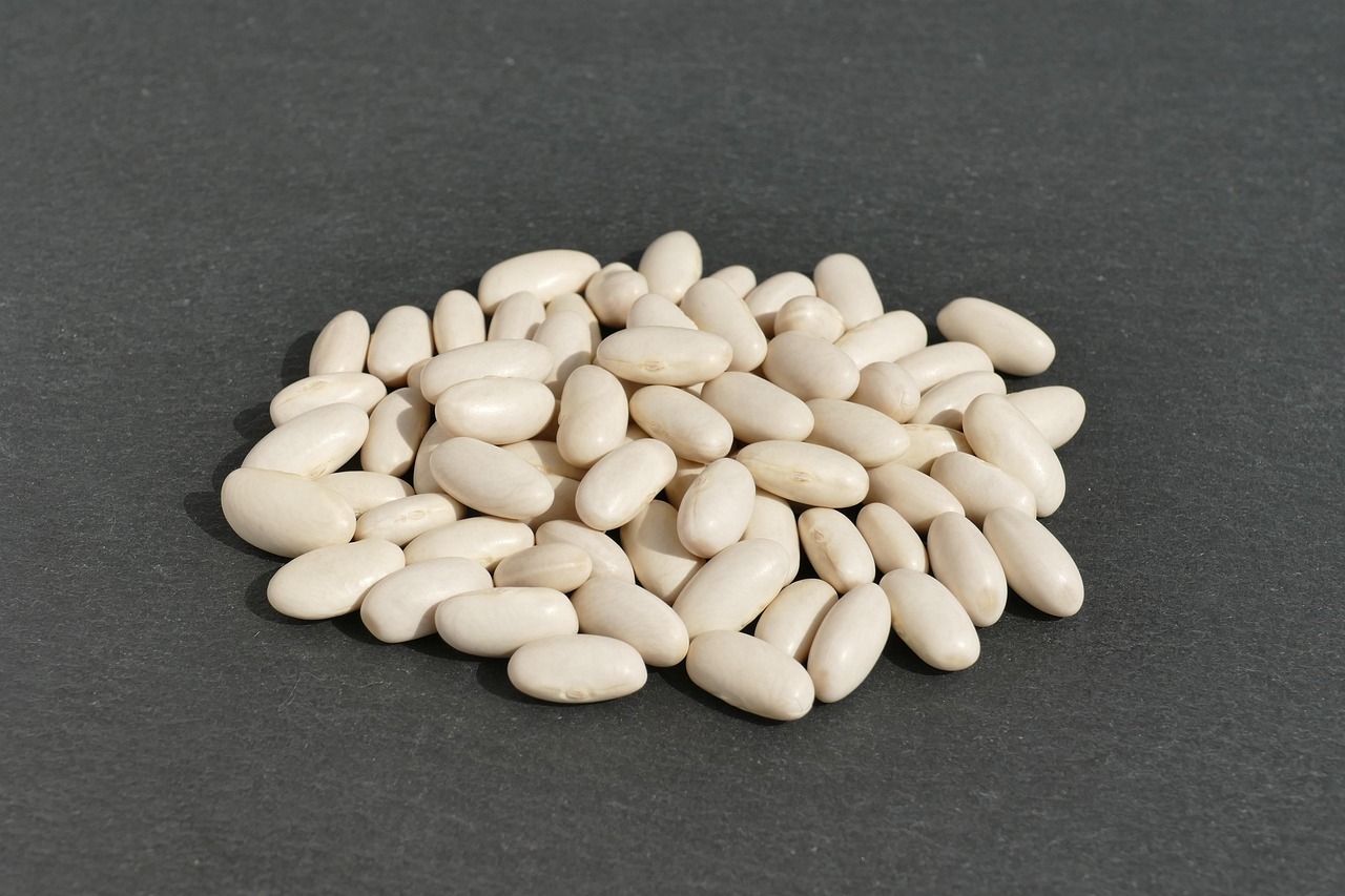 Spotlight on Cool Summer Fare: White Bean and Tuna Salad