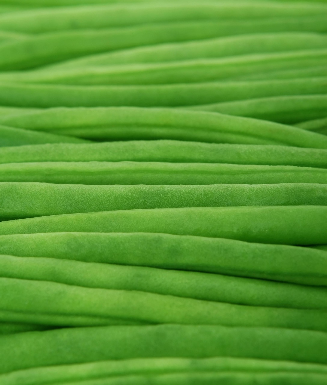Spotlight on Beans: Roasted Garlic Green Beans