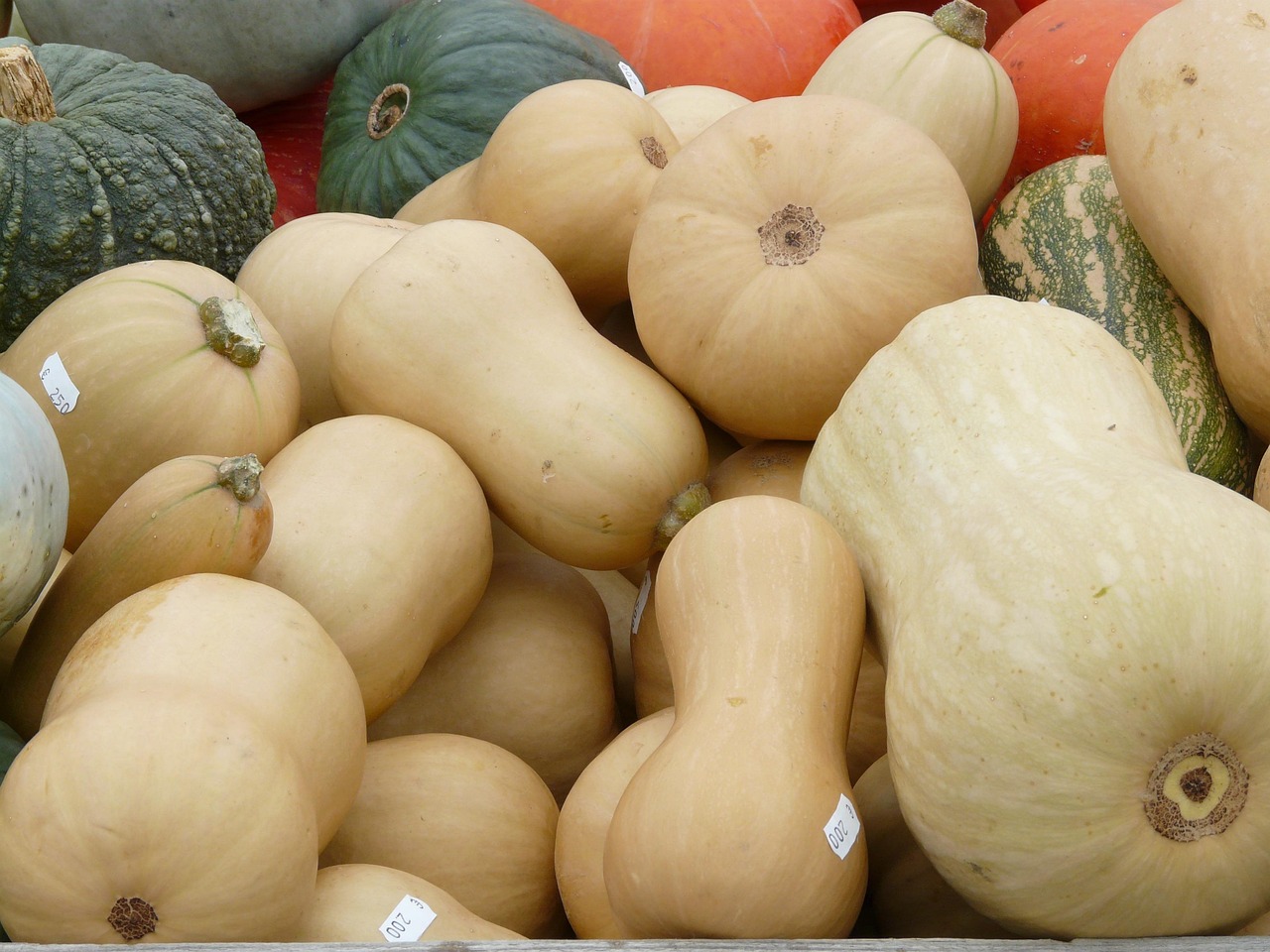 Spotlight on Winter Squash: Roasted Winter Squash with Browned Butter and Sage