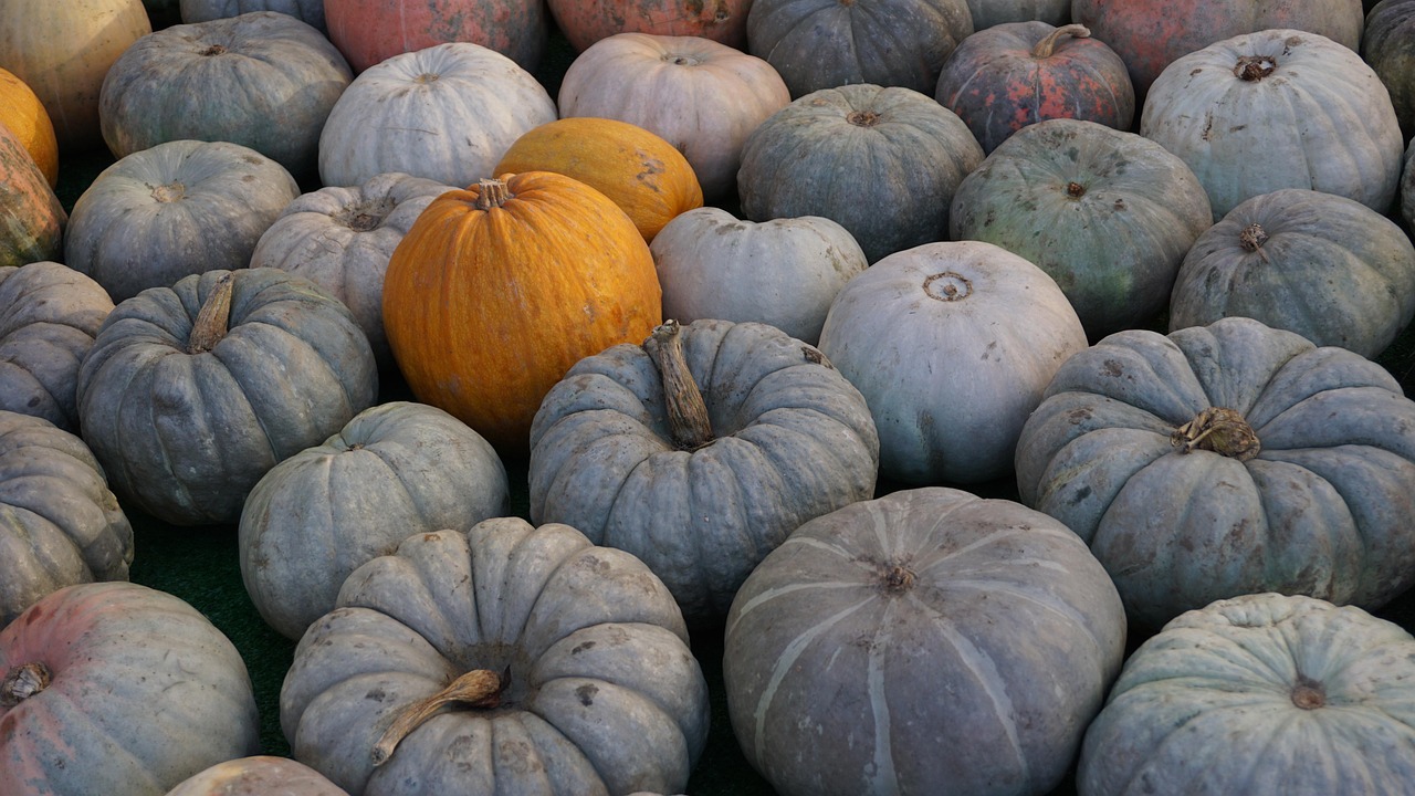 Spotlight on Winter Squash: Pumpkin Flan