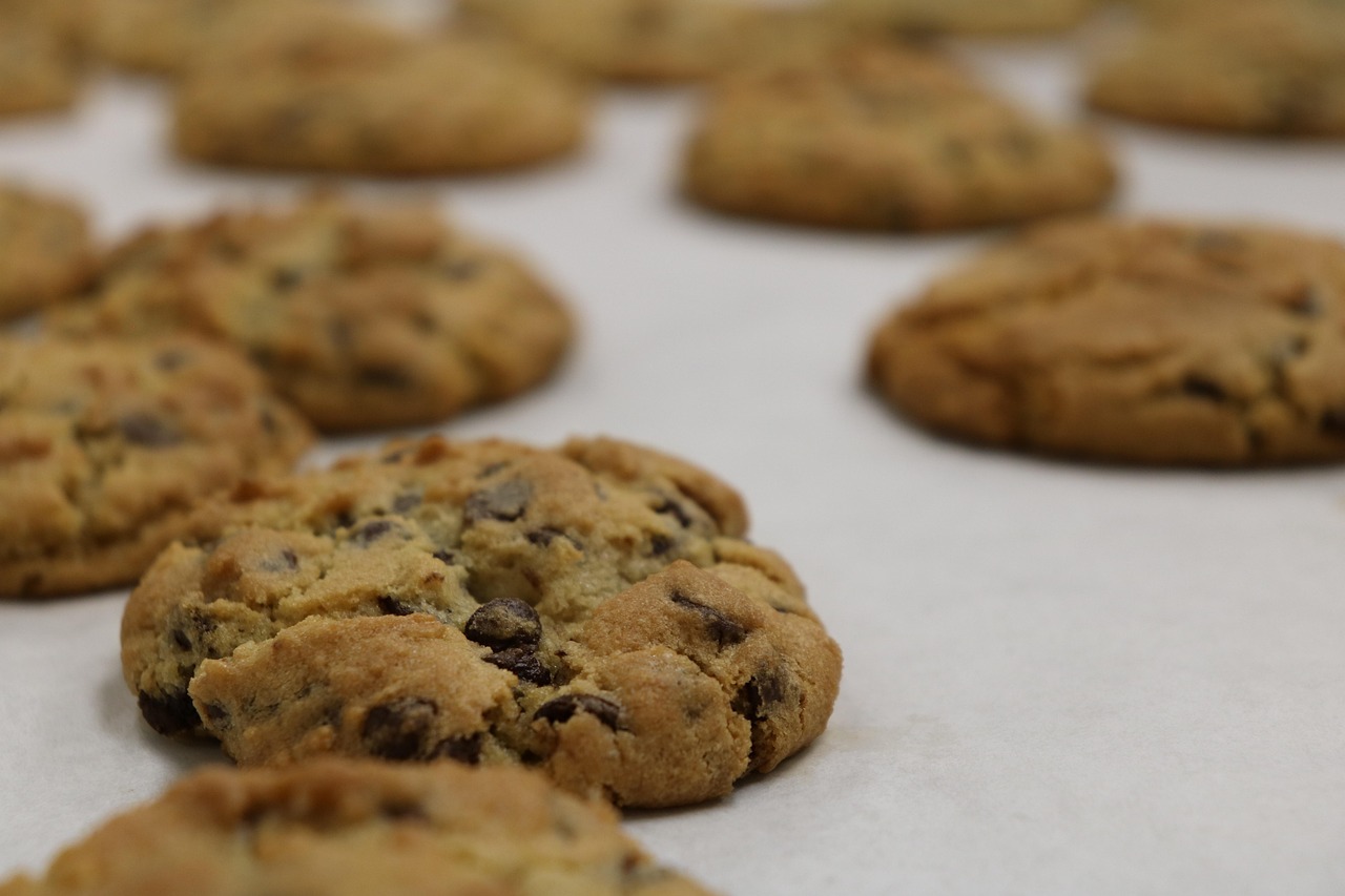 Spotlight on Holiday Goodies:  Chocolate Chip and Dried Cherry Cookies