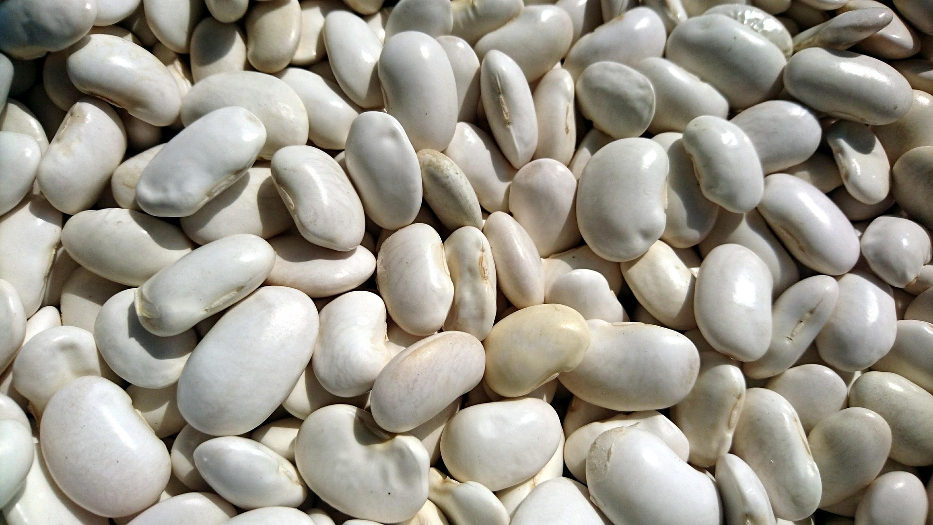 Spotlight on Pulses: Sardinian Herb Soup with Fregola and White Beans (S’erbuzzu)
