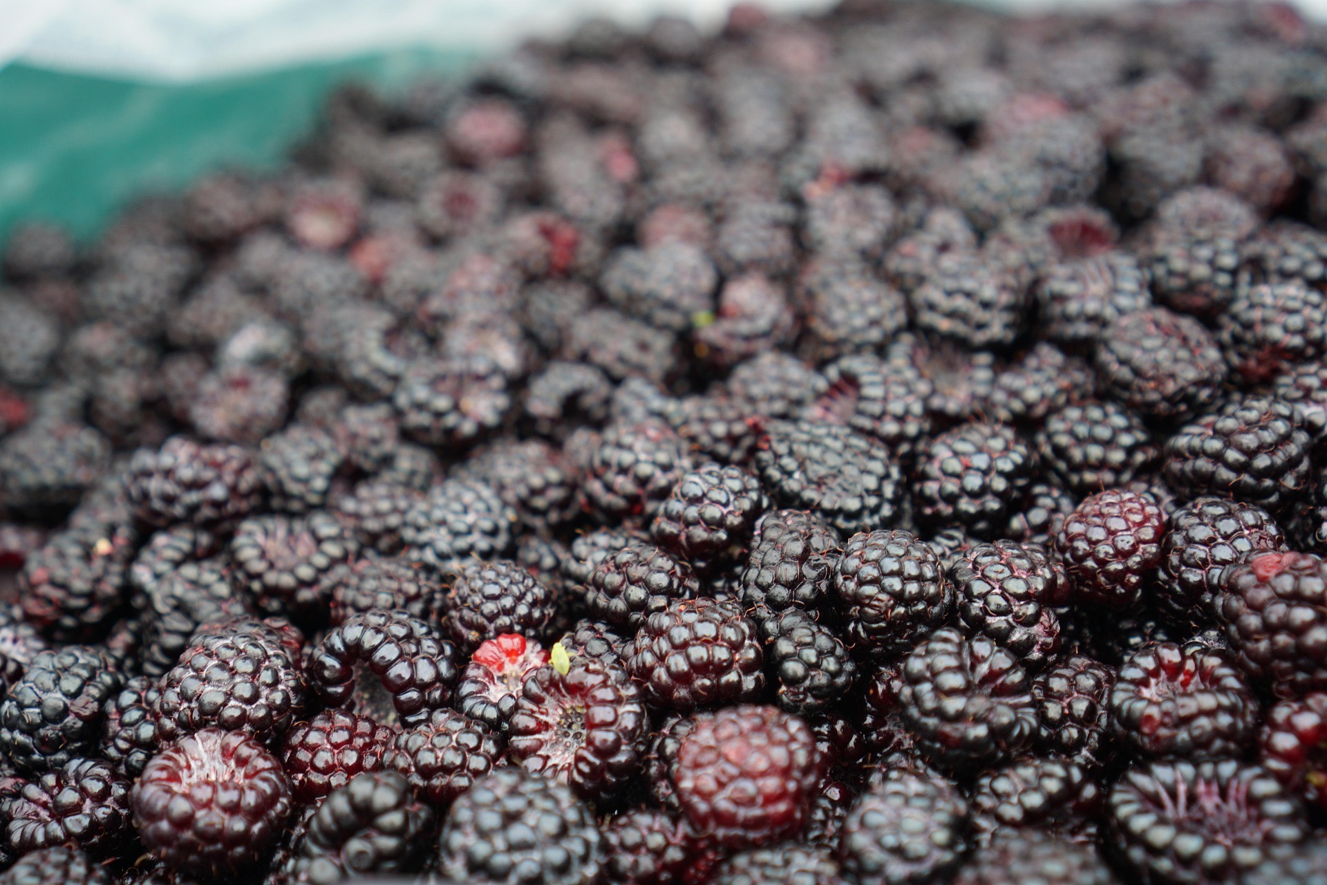 Spotlight on Berries: Sweet Corn and Black Raspberry Ice Cream